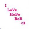 hobo bob