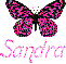 Sandra - Butterfly