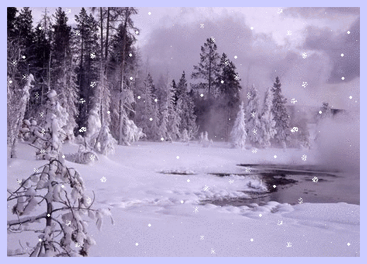 Snow Trees