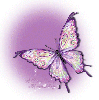 Butterfly Bling-Purple
