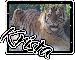 Krista Tiger 2