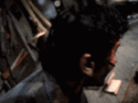 evil dead