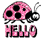 ladybug hello