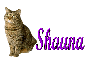 Cat-Shauna
