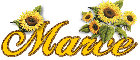 Marce... sunflowers