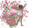 Pink Butterfly Fairy2