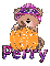 Pumpkin Bear- Perry