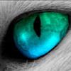 Cat eye