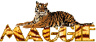 tiger name-maggie