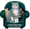CAT IN CHAIR