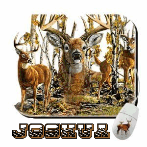 joshua's deer mousepad