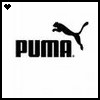 puma4