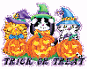 Trick or Treat~Cats
