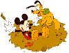 mickey & pluto playing in leafs.