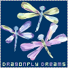 Dragon Fly Dreams