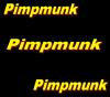 Pimpmunk life 