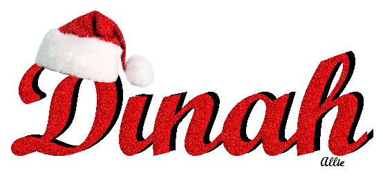 Dinah Santa Hat