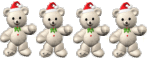 Polar Teddy  Bears
