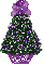 purple mismis tree,  Lindsay