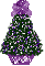 purple mismis tree,  Shonna