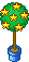 star plant