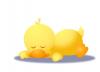 duck is slepping zzzz