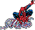Macho Spiderman