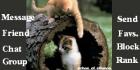 Kittens in a log