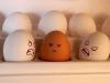 racist eggs.
