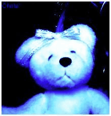 teddy bear