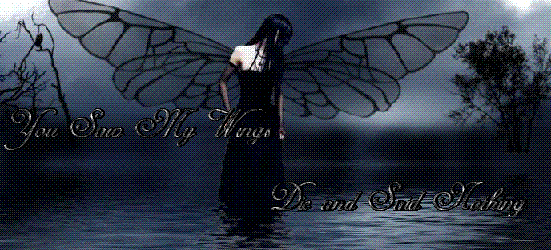 You saw my wings die