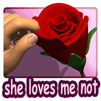 She Loves Me She Love (in Animated GIFs)