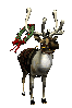 Reindeer Wreath 