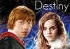 Ron Hermione destined 