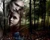 Twilight... Bella & Edward