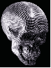 Disco Skull
