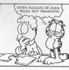 Garfield_puzzle