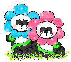 Flower Pandas