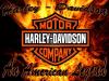 Americas Harley Davidson