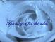 Thanks for the add! - Blue Rose