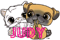 judy,s little petshop