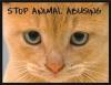 stop animal abusing