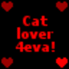 cat lover forever !