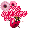 Pink Ladybug 