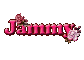 Pink Rose: Jammy