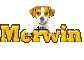 Puppy: Merwin