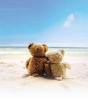 teddy bears on beach