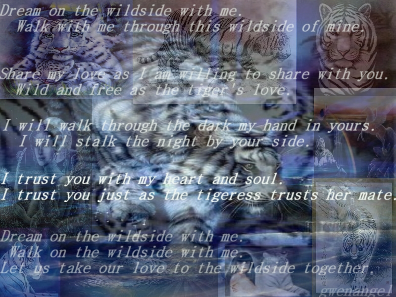 Wildside of Love Background/White Tiger