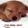 Please help stop animal abuse