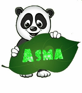 Panda with name asma